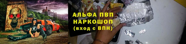 амф Новокубанск