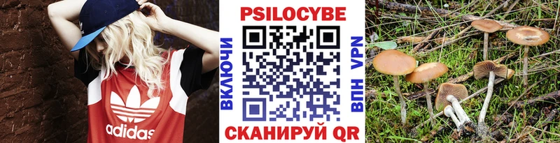 Галлюциногенные грибы GOLDEN TEACHER  hydra сайт  Абдулино 